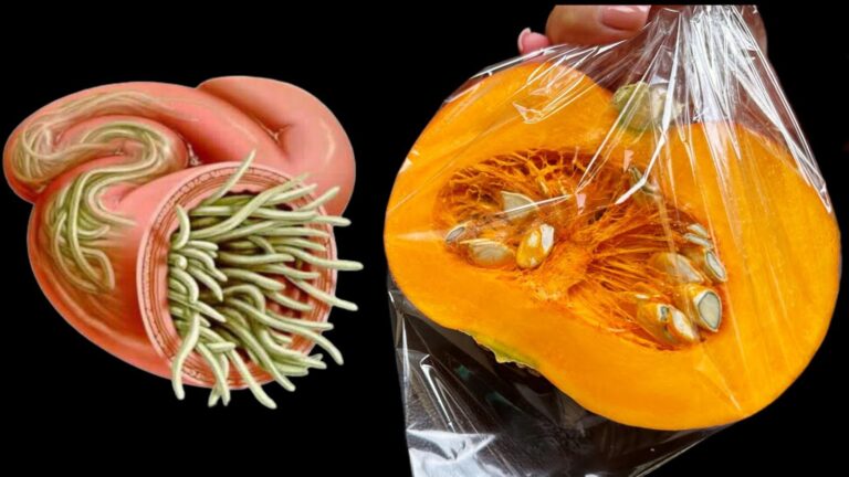 An old trick for clearing out pests that transforms your garden into a paradise…