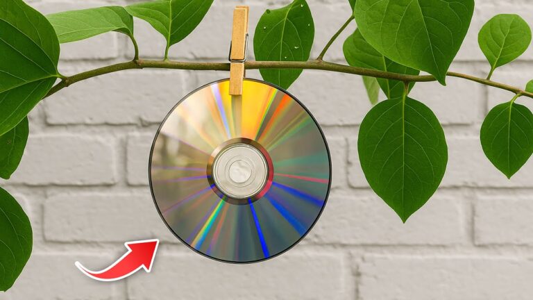 14 Life Changing Home Hacks That Will Transform Your Space Today