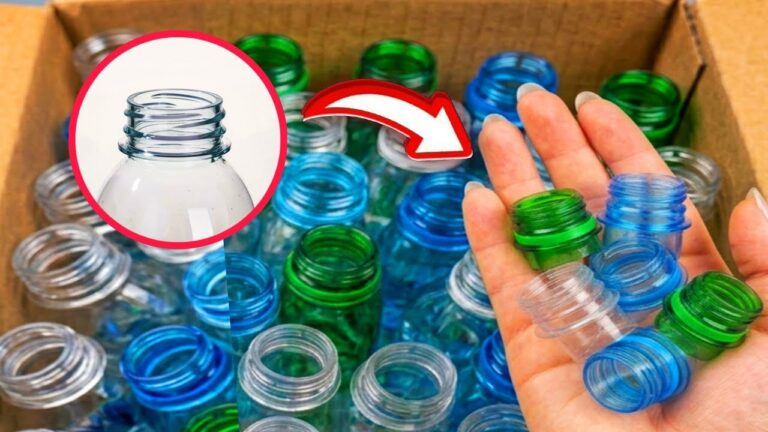 7 Surprising Ways to Use Bottle Parts You Never Knew Existed!