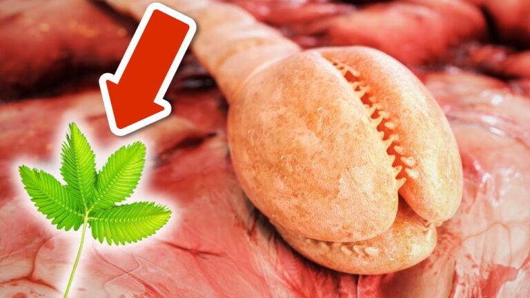 Eliminate Worms Overnight with This 1 Easy Herb Trick You Need to Try!