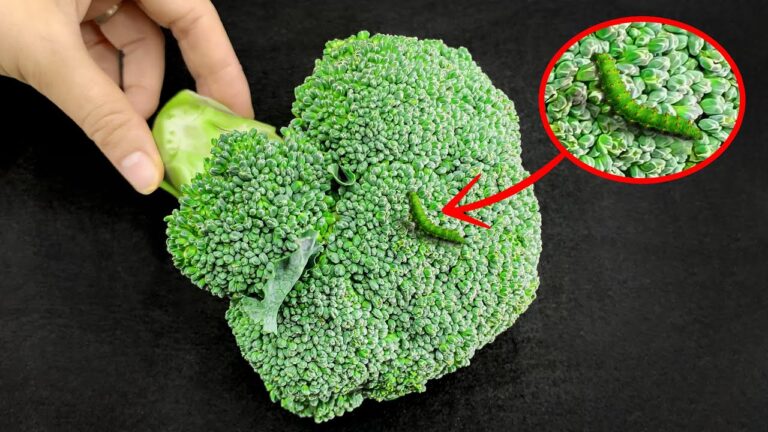 14 Kitchen Hacks Everyone Should Know for a More Efficient Cooking Experience!