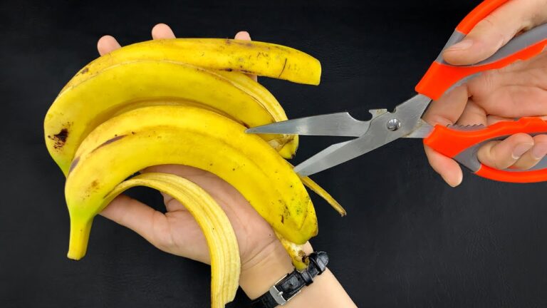 13 Ingenious Home Hacks to Transform Your Space and Simplify Life