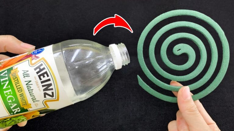 25 Ingenious Home Tips You Wish You Knew Sooner for a Better Life