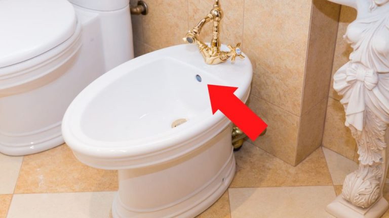 The Secret Use of the Second Bidet Hole You Never Knew About