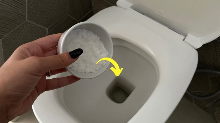 Fresh and Scented Toilets: The Ultimate Natural Remedy Revealed
