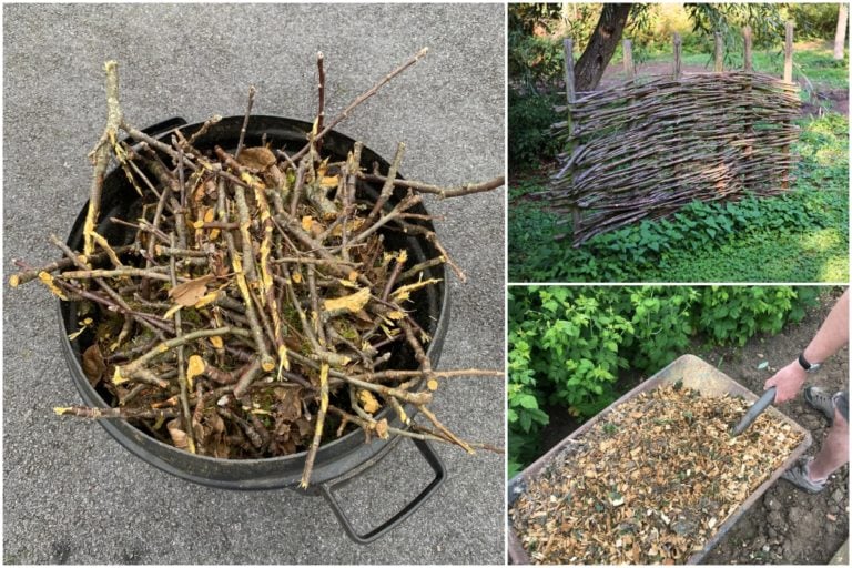 7 Surprising Ways to Reuse Your Fruit Tree Trimmings