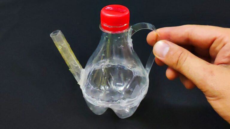 10 Genius Home Tips for 2024 That Will Change Your Life!