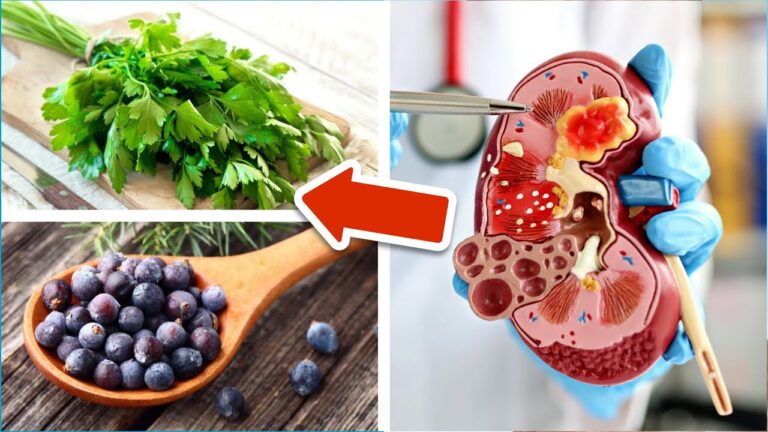 5 Spices to Boost Your Kidney Health Now! Discover the Secrets to Delicious Nutrition