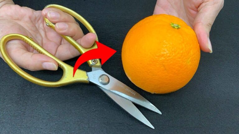 5 Simple Steps to Peel an Orange with Scissors – You Won’t Believe How Easy It Is!