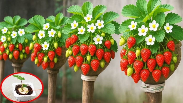 5 Easy Steps to Transform Plastic Bottles into a Vertical Strawberry Garden