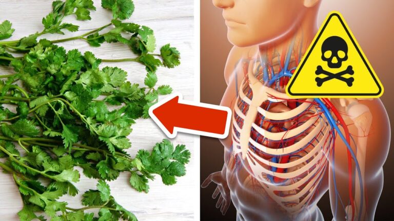 Eliminate 7 Toxic Heavy Metals from Your Body with This Simple Herb!